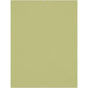 Westcott X-Drop Wrinkle-Resistant Background - Mos Green (1.5 X 2.1 M)