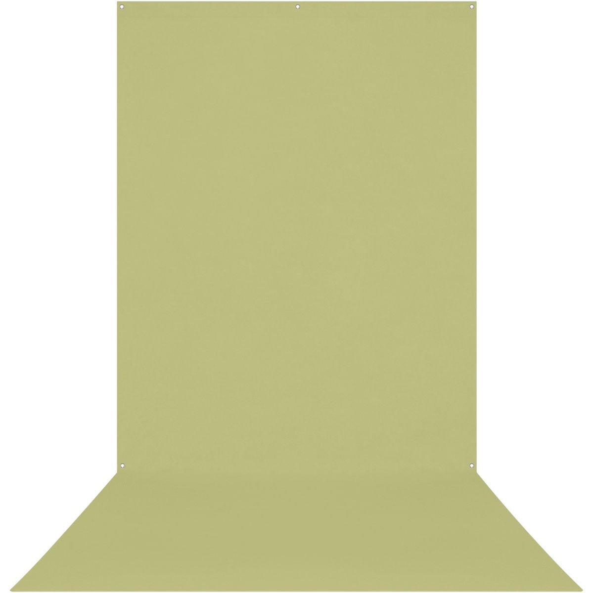Westcott X-Drop Wrinkle-Resistant Backdrop - Mos Green Sweep (5' X 12')