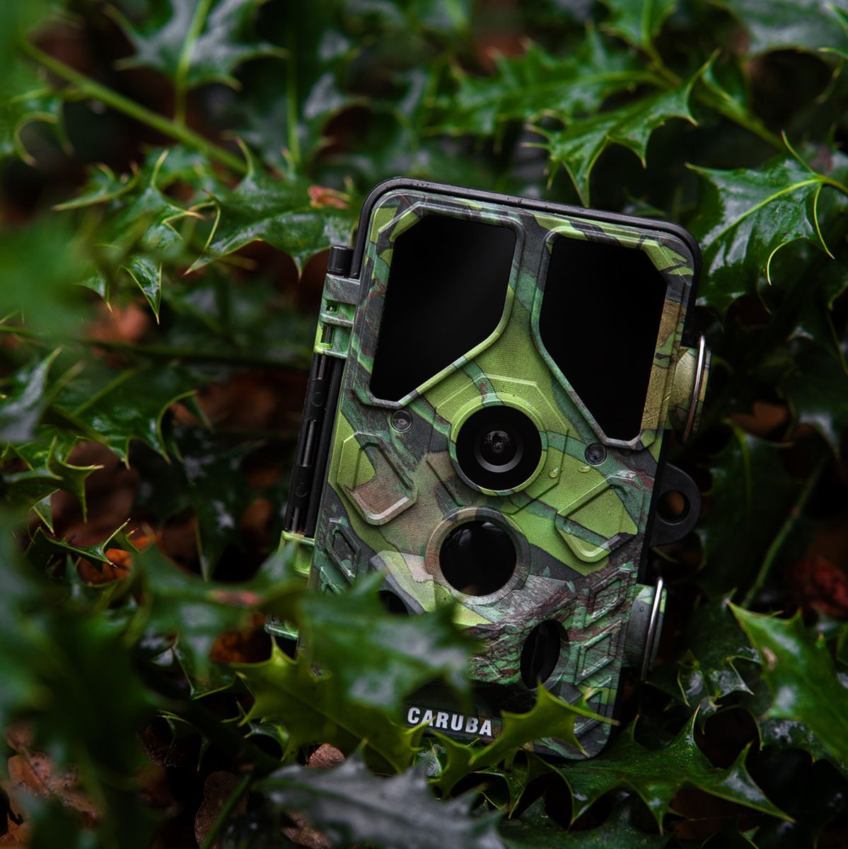 Caruba Wildcamera Toad Full HD
