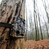 Caruba Wildcamera Moose 4K