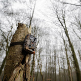 Caruba Wildcamera Moose 4K