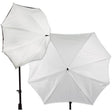Westcott 40"X50"/102cmx127cm ED Pierce Edition Halo
