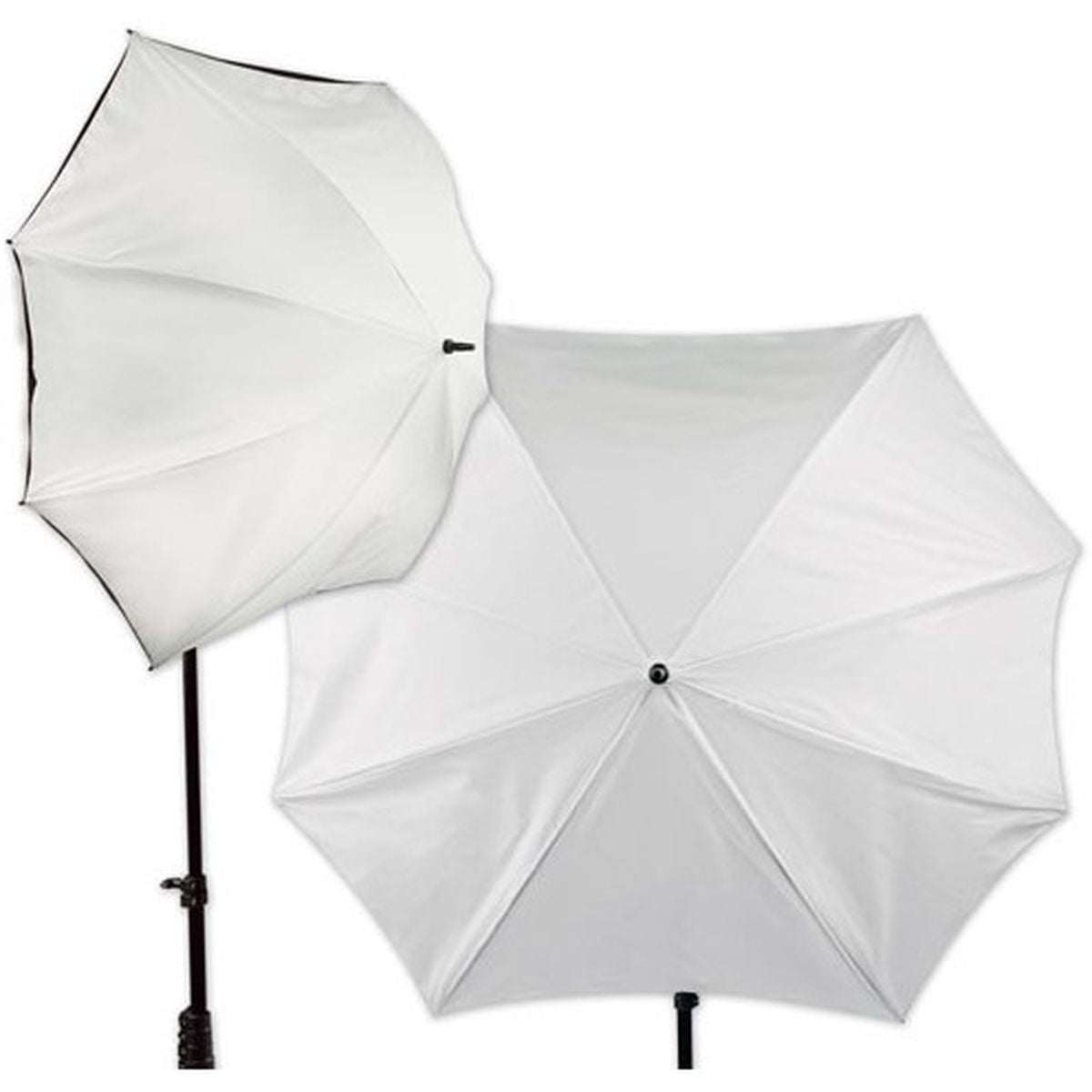 Westcott 40"X50"/102cmx127cm ED Pierce Edition Halo