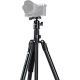 Fotopro PD 5+FPH 42QC Video Tripod - image 2 of 5