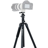Fotopro PD 5+FPH 42QC Video Tripod - image 3 of 5
