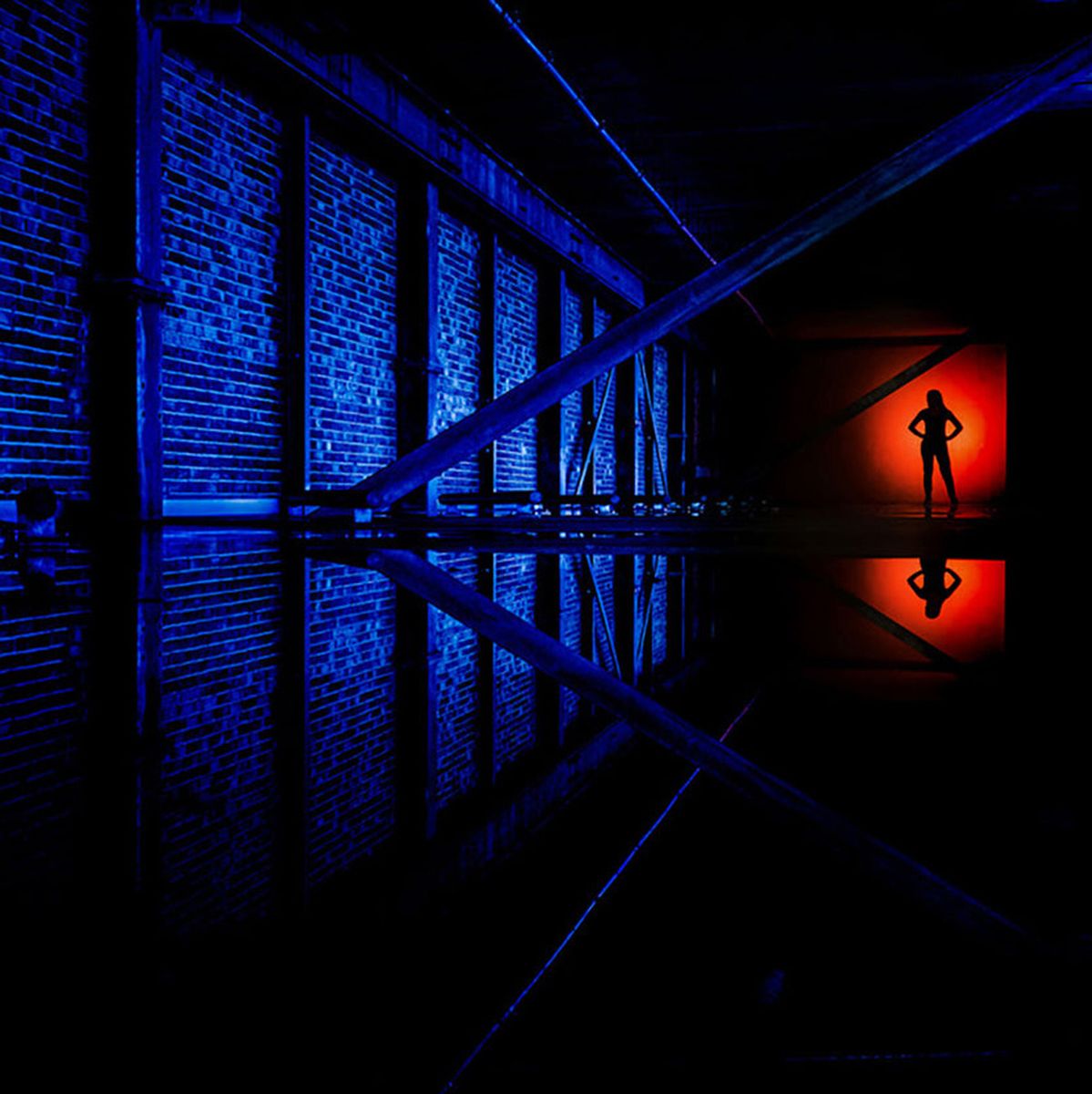 MagMod Beauty Dish XL 20