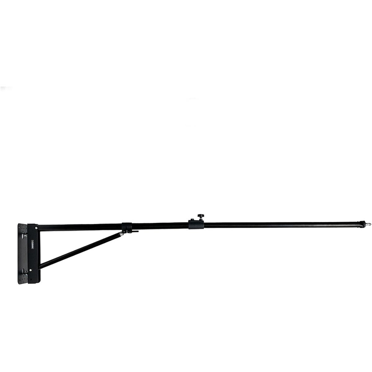 Caruba Muur Boom 175cm