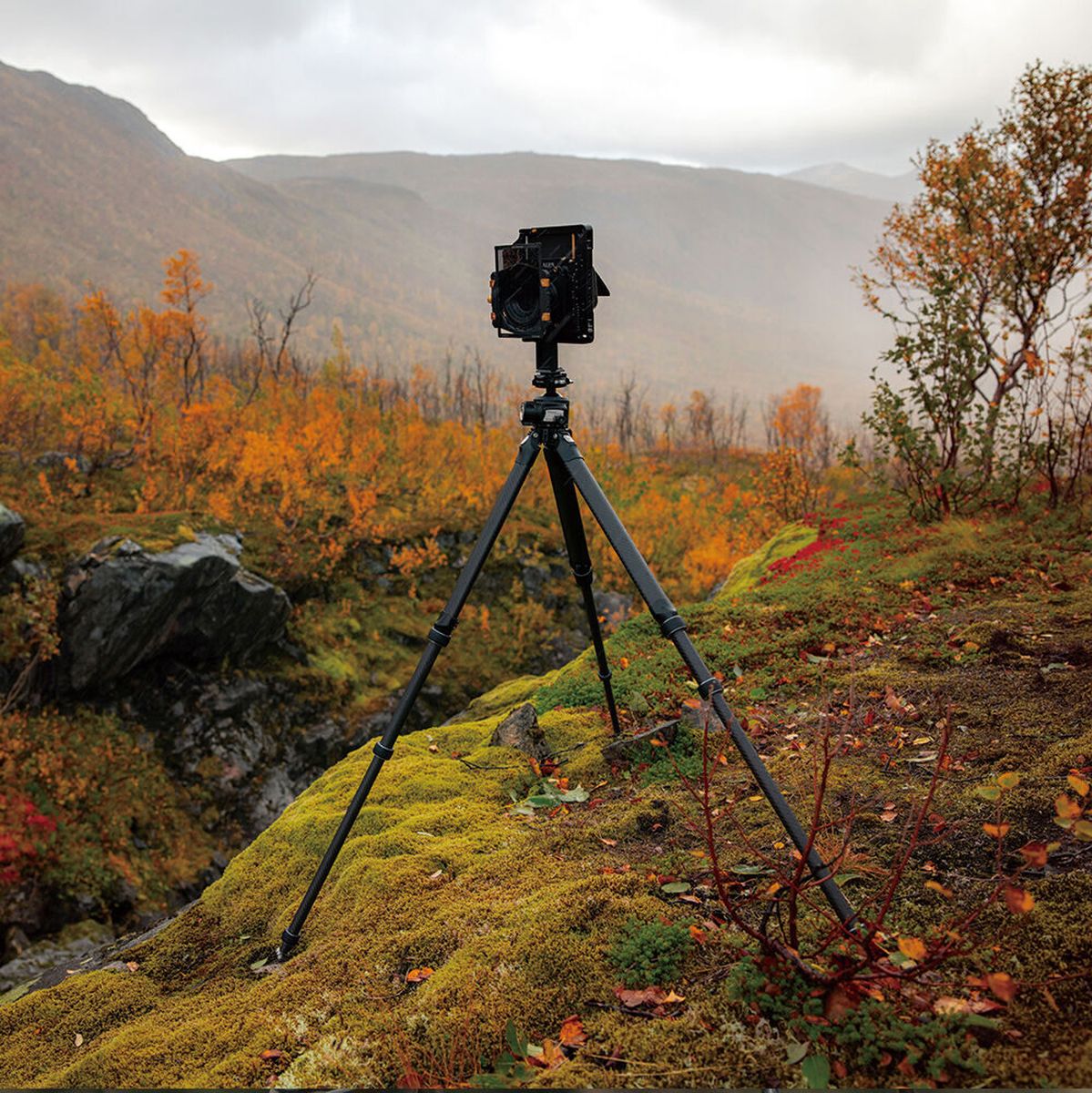 FALCAM Treeroot Quick Lock Pro Tripod T00A4901 - image 5 of 5