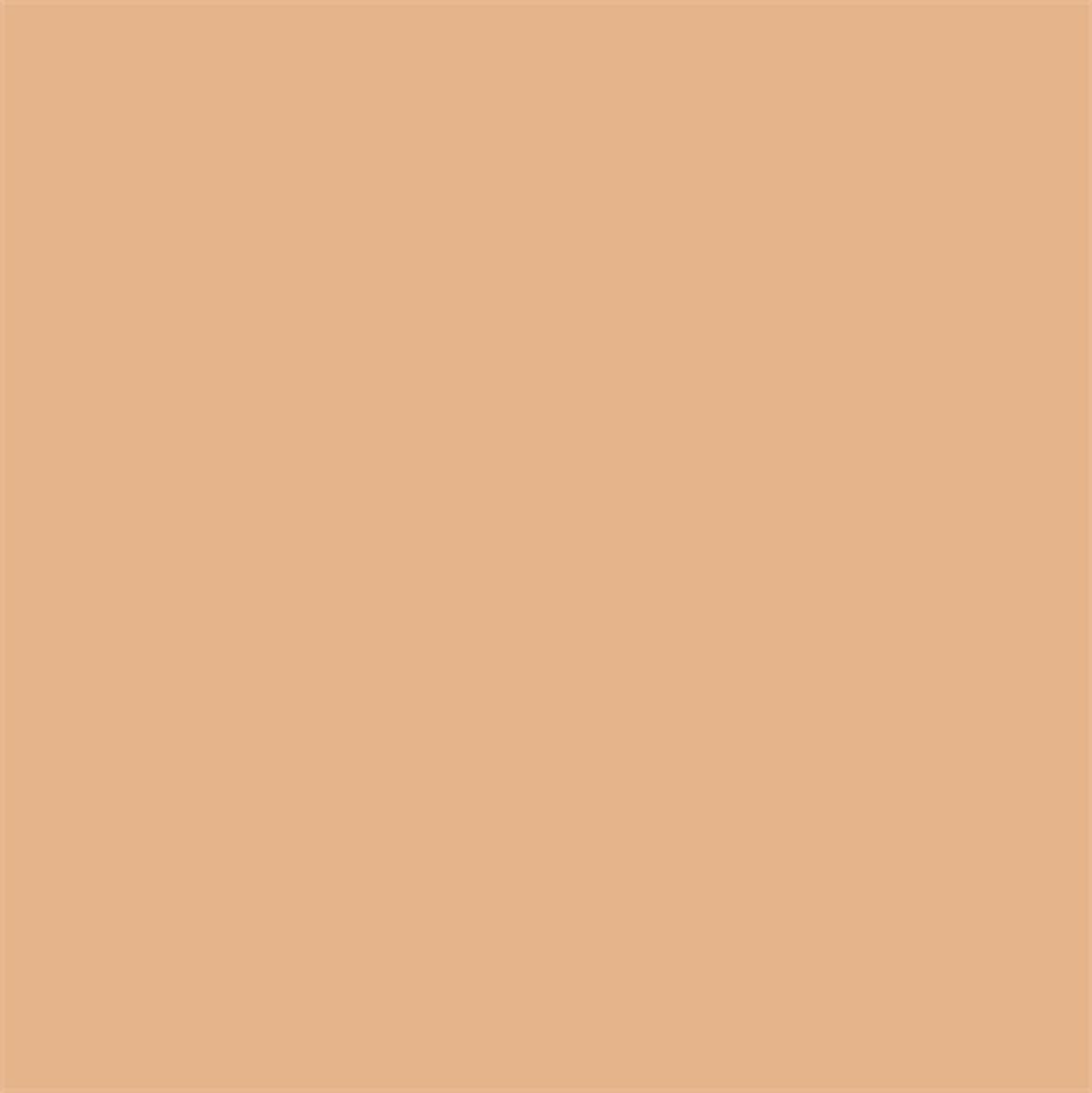 Superior Background Rol Wheat (NR 66) 1.35m X 11m - image 2 of 5