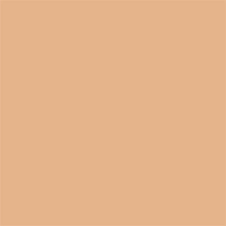 Superior Background Rol Wheat (NR 66) 1.35m X 11m - image 2 of 5