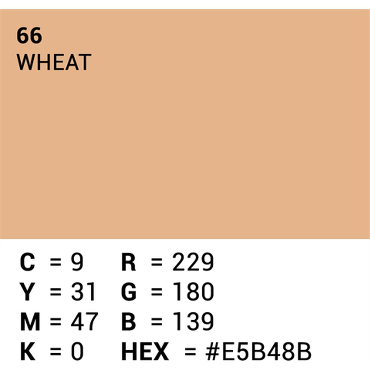 Superior Background Rol Wheat (NR 66) 1.35m X 11m - image 5 of 5
