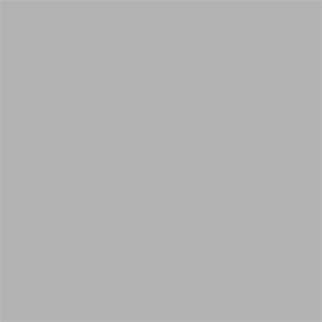 Superior Background Rol Fossil Grey (NR 72) 1.35m X 11m - image 2 of 5