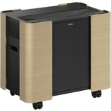 Epson Mobile A/V Cabinet - ELPCS01 - EB-810E / EB-815E - image 2 of 4