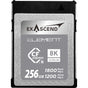 Exascend Element Cfexpress(Type B) 256GB
