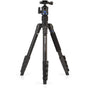 Benro Itrip Tripod Kit FIT29AIH1