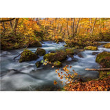 H&Y K-Series ND64 + CPL 95mm Drop-In Filter - image 4 of 5