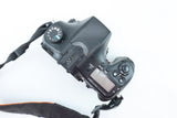 Sony Alpha A77