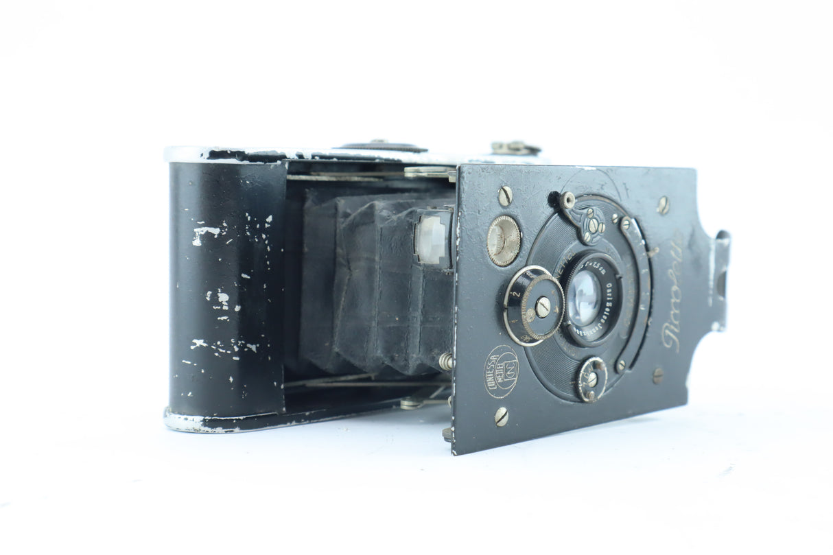 Contessa-Nettel Riccolette