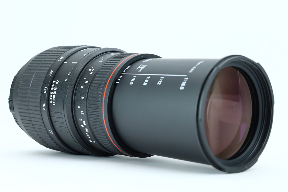 Sigma 70–300mm f/4–5.6 DG Macro