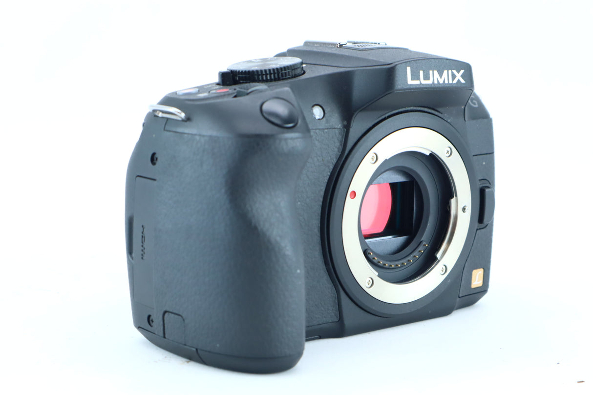 Panasonic Lumix DMC-G6 Mirrorless Camera (Micro Four Thirds)