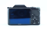 Sony Cyber-shot with 10× Optical Zoom and 10.1 Megapixels