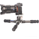 Leofoto Ranger LS-223C + Ball Head LH-25 - image 3 of 5