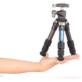 Leofoto Ranger LS-223C + Ball Head LH-25 - image 4 of 5