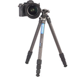 Leofoto Ranger LS-224C + Ball Head LH-25 - image 3 of 5