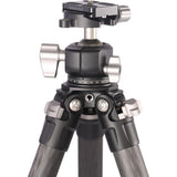 Leofoto Ranger LS-284C + Ball Head LH-30 - image 3 of 5