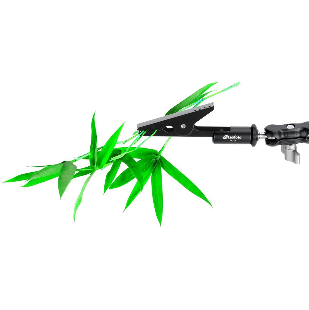 Leofoto Multipurpose Clamp MC-01 - image 2 of 5