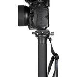 Leofoto MP-365C Carbon Monopod - image 5 of 5