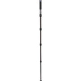 Benro MACH3 Monopod MMA49C