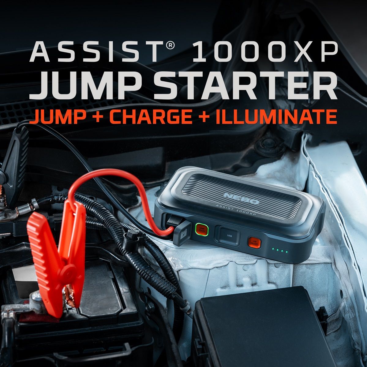 Nebo Assist 1000XP - image 3 of 5