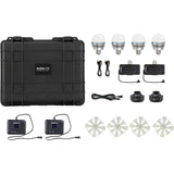 Pavobulb 10C Quad Kit