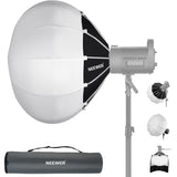 NEEWER NS65L
