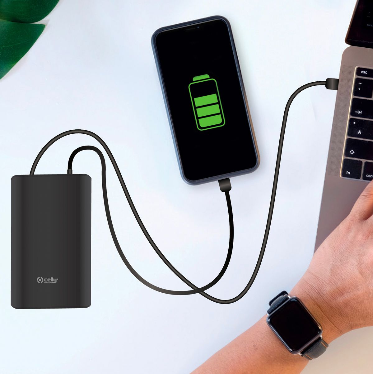 Celly PowerBank Pro 45W 15.000mAh Black