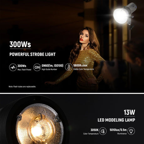 NEEWER Q300 - image 2 of 5