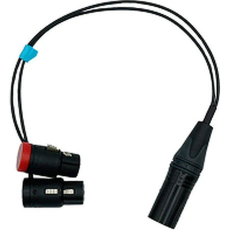 Radius Mini-Alto Stereo Y-Cable 3-PIN To 5-PIN XLR Cable 260mm