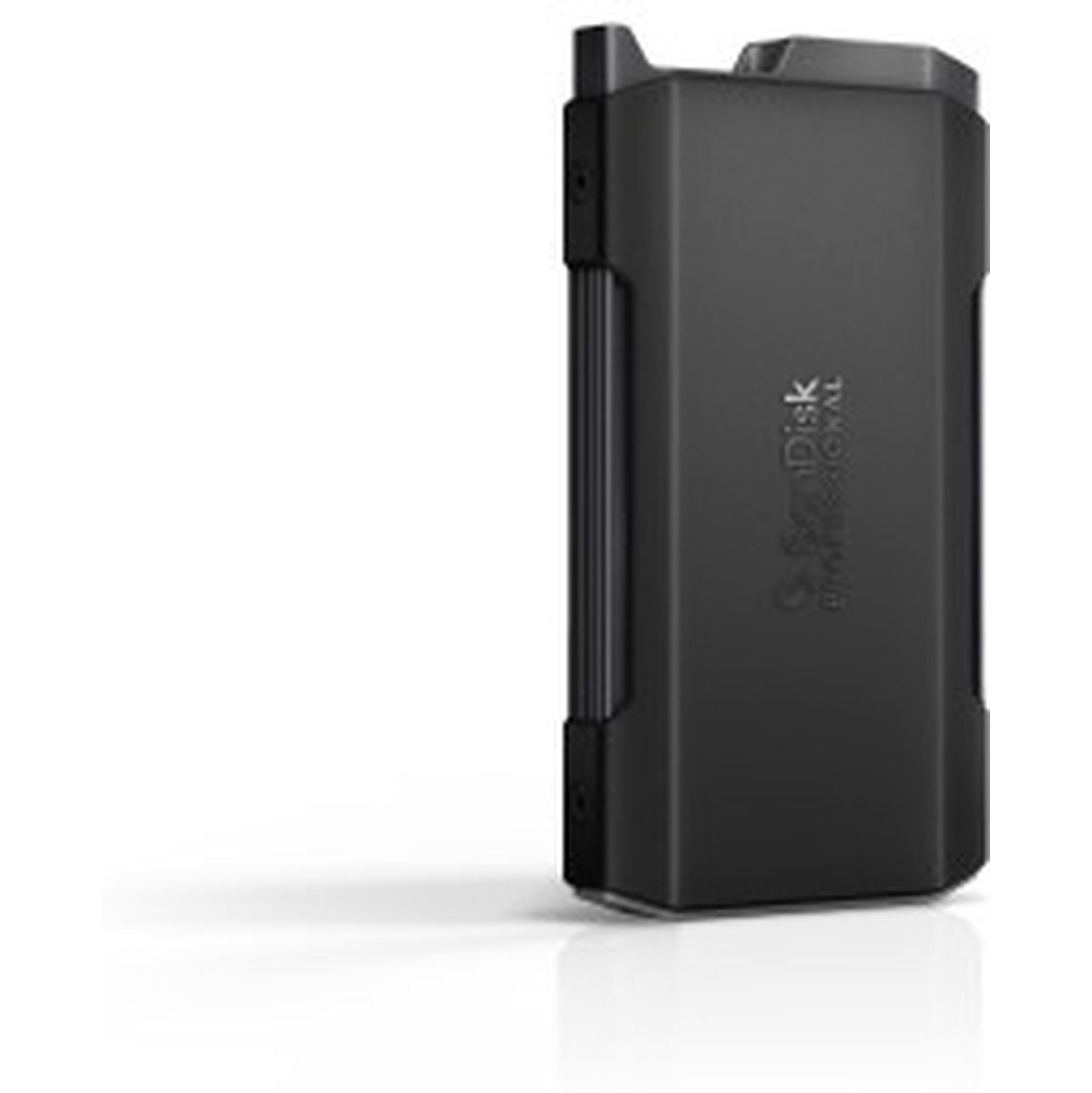 SanDisk SSD Pro Blade Transport Type C 4TB