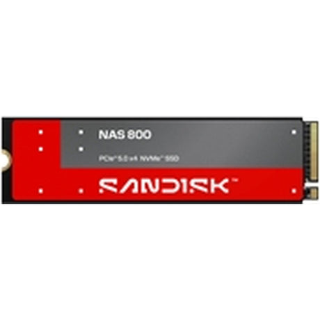 SanDisk Nas 800 NVMe SSD 3.84TB