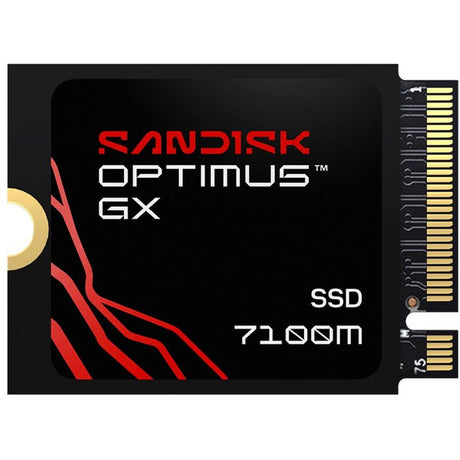 SanDisk Optimus GX 7100m 2TB PCIE-G4 1TB