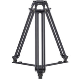 Sirui Video Tripod BCT-3002