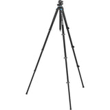 Sirui Landscape Carbon Tripod Kit L-224F + KS-10 Head (w/ Flip Lock) - image 4 of 5
