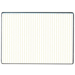 Schneider-Kreuznach MPTV True-Streak® Gold 4mm 4x5.65