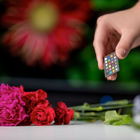 X-Rite ColorChecker Nano - image 4 of 5